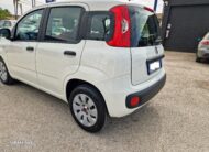 FIAT PANDA 1.2 69cv S&S E6d-Temp Pop